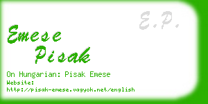 emese pisak business card